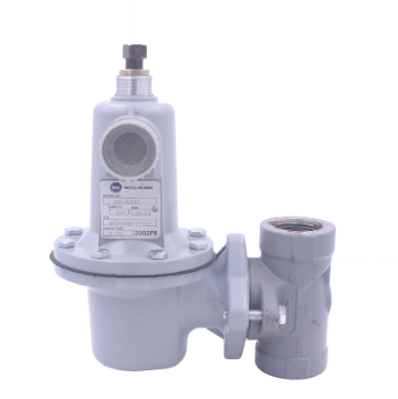 Dragon Floating Ball Valve